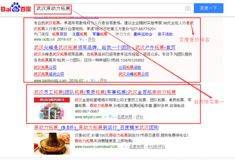 SEO優化案例